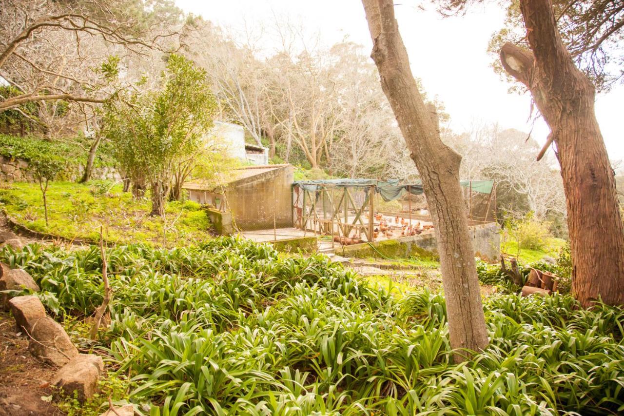 Almaa Sintra Hostel Eksteriør bilde